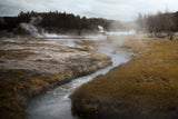 LANDSCAPES AS LIVING LABORATORIES