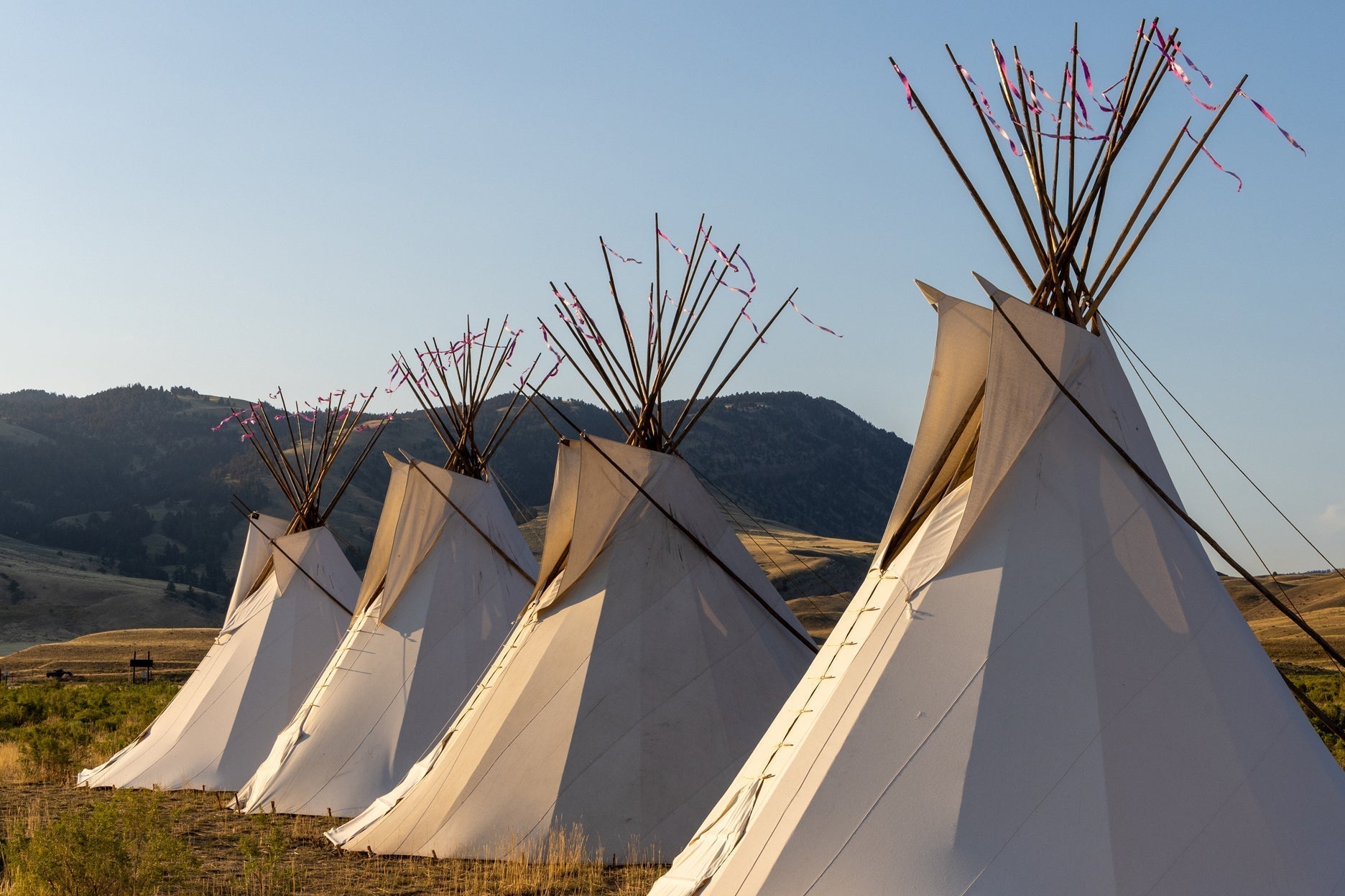 Voices Of Yellowstone
