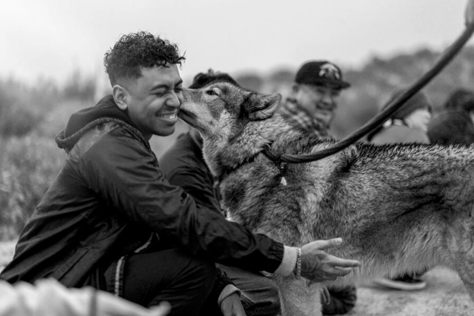 The Wolf Is A Mirror