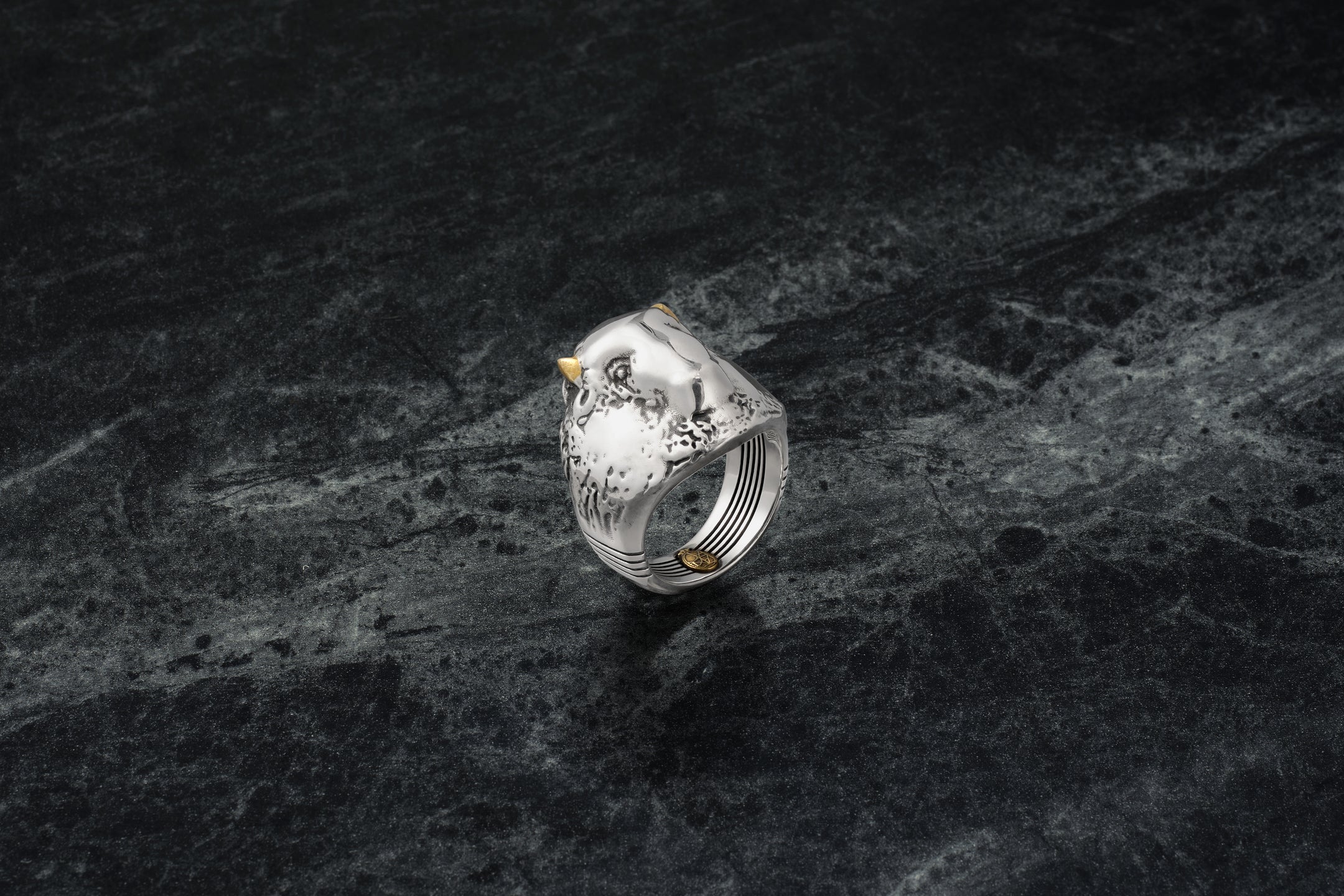 HAYDEN RING