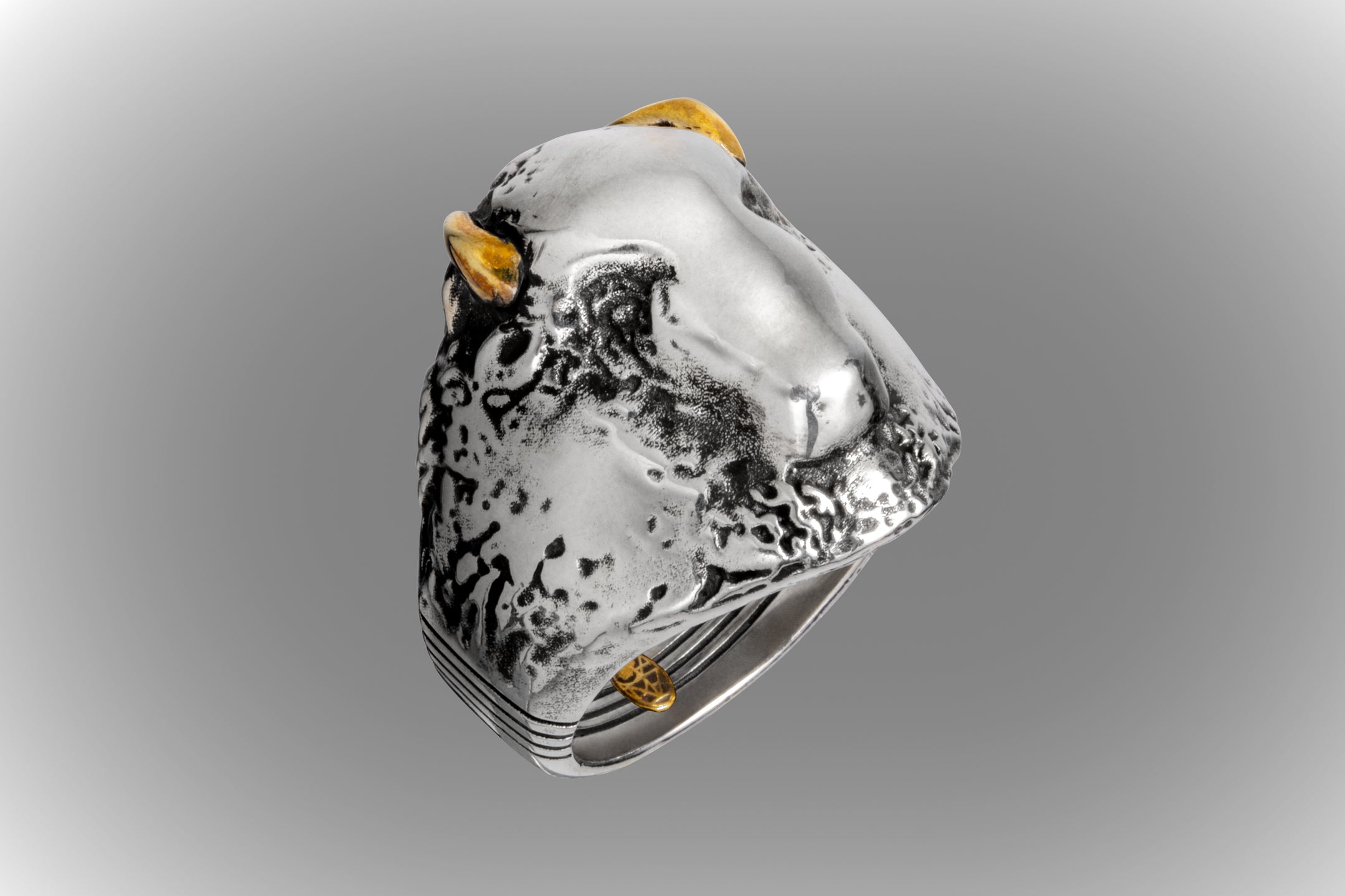 HAYDEN RING